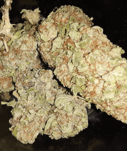 Blueberry Kush Cannabis Strain UK