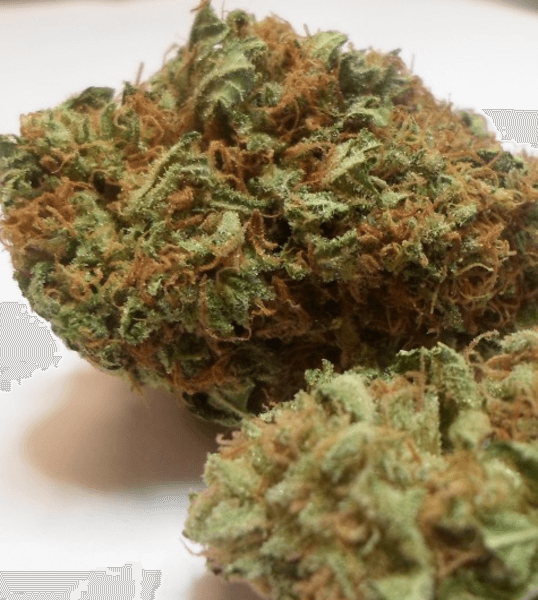 Pineapple Express Cannabis Strain UK
