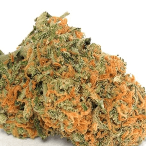 Strawberry Cough Weed Strain