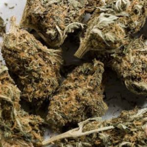 Aceh Marijuana Strain UK