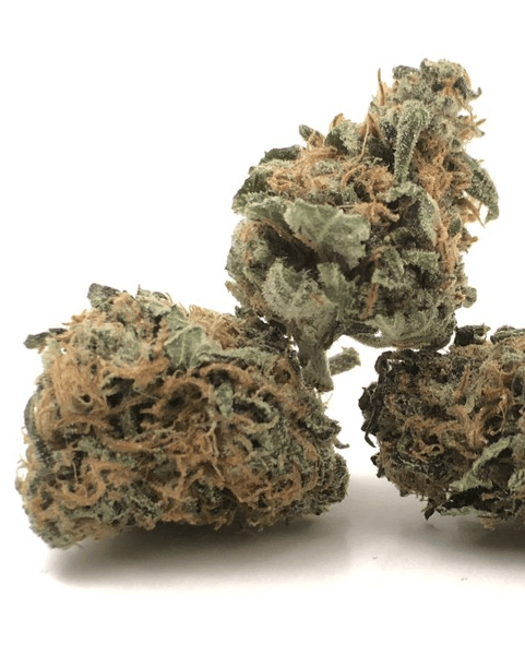 Nepalese Cannabis Strain UK