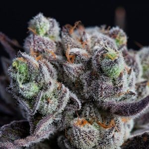 Blackberry Moonrocks Cannabis Strain