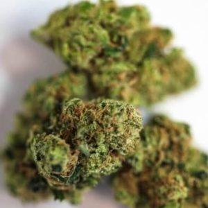 7-Way Marijuana Strain UK