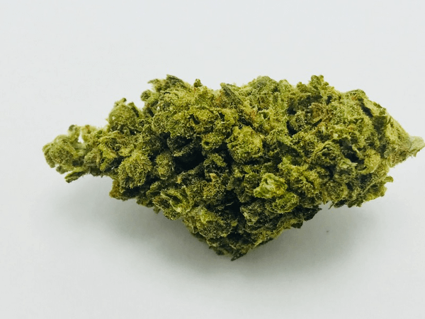 XJ-13 Marijuana Strain UK